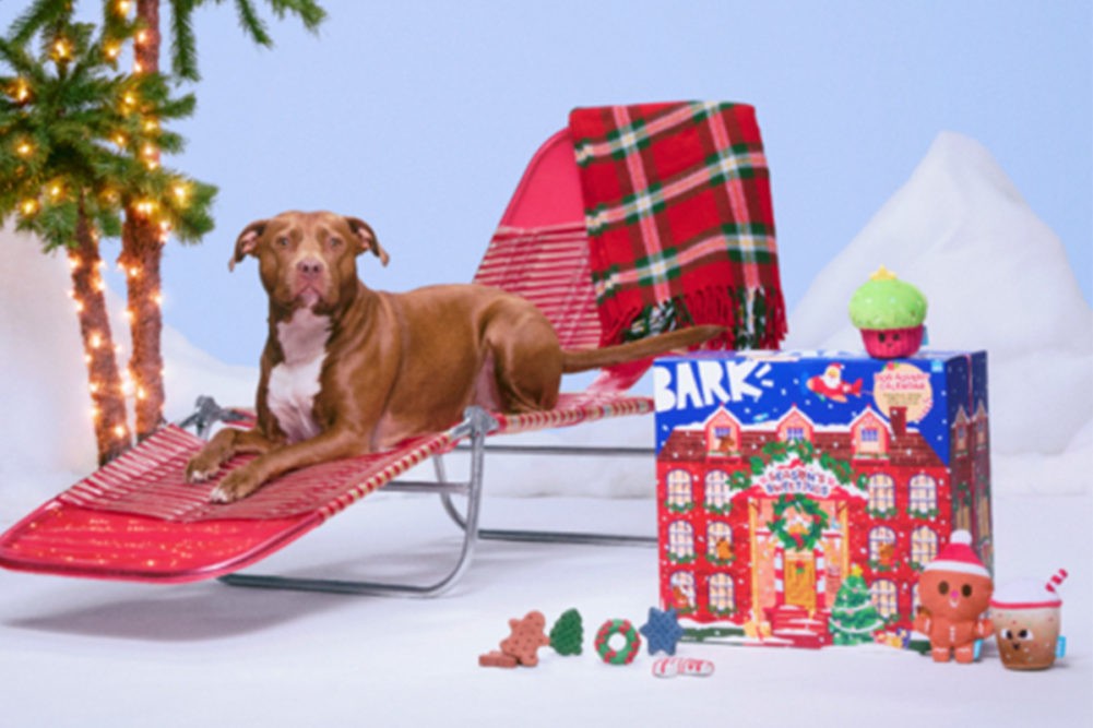 BARK relaunches dog advent calendar Pet Food Processing